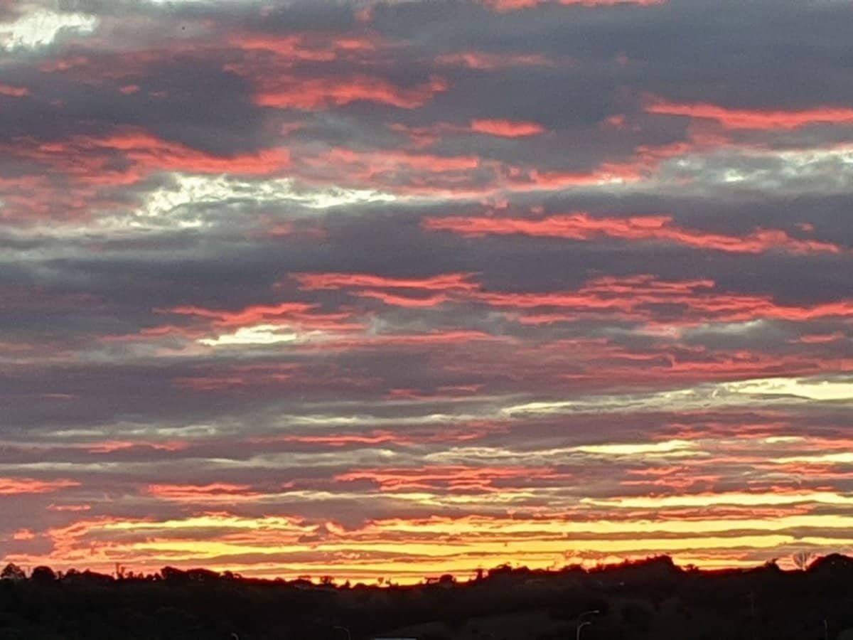 1 Cullen Court, Cumbalum - Thumbnail 29