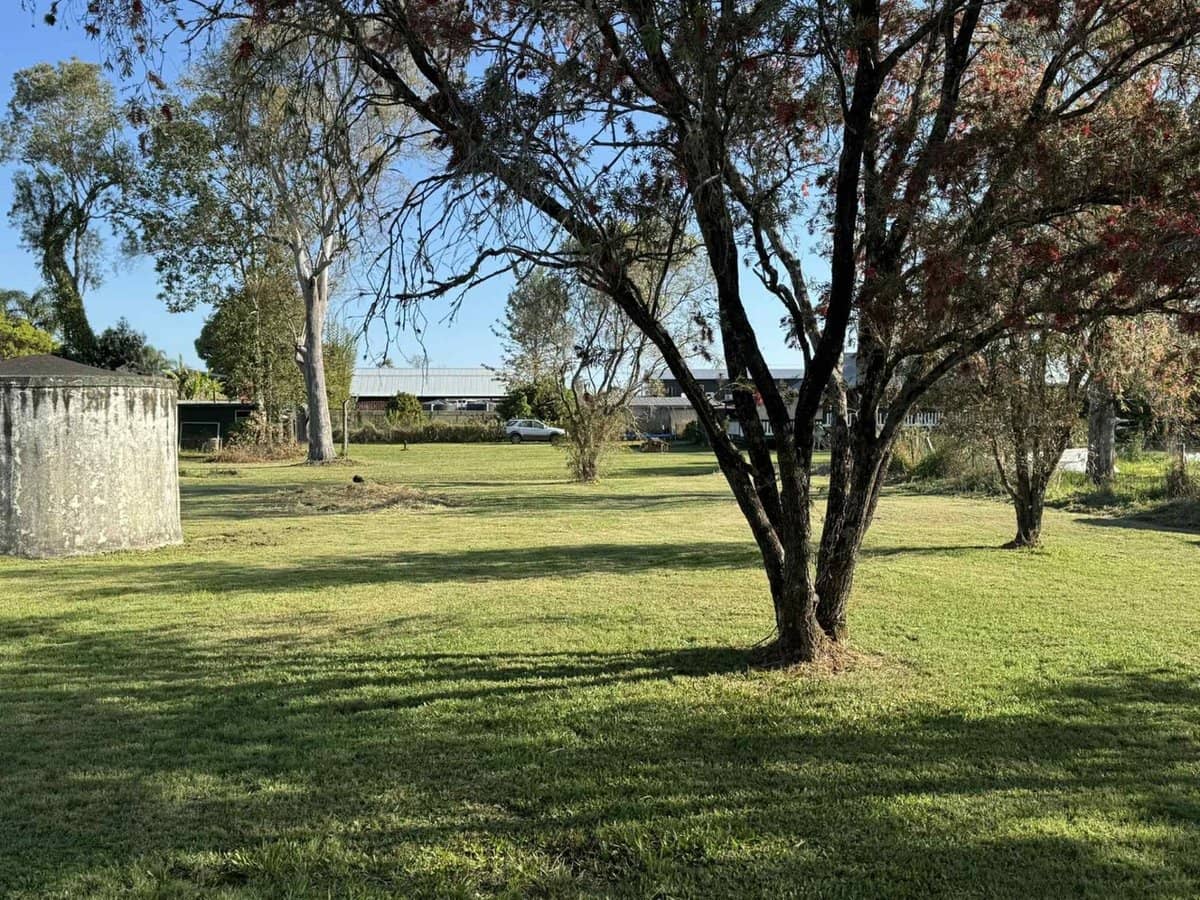 4 Pearse Street, Rappville - Thumbnail 4