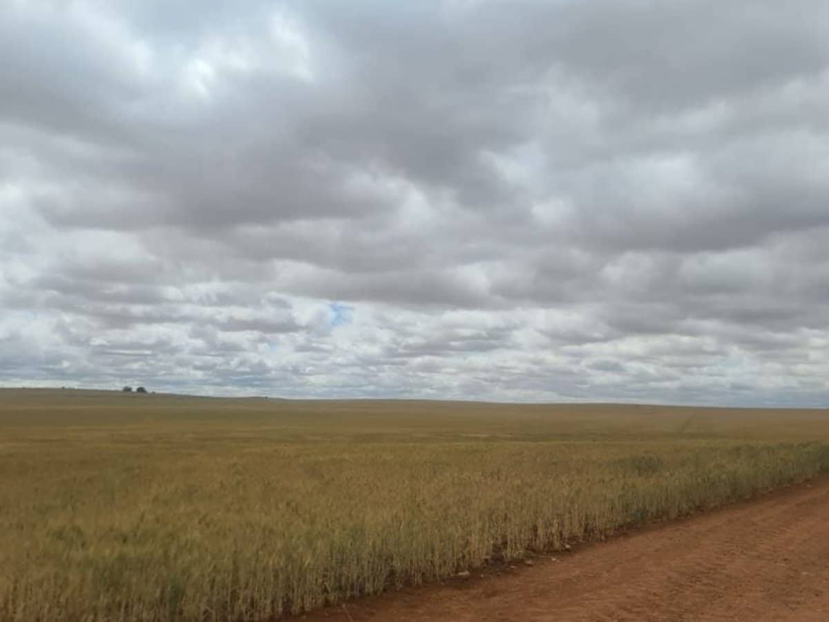 52 Farr Road, Wunkar - Thumbnail 1