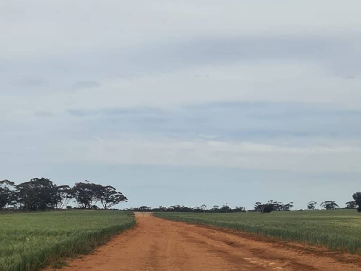 52 Farr Road, Wunkar - Thumbnail 2