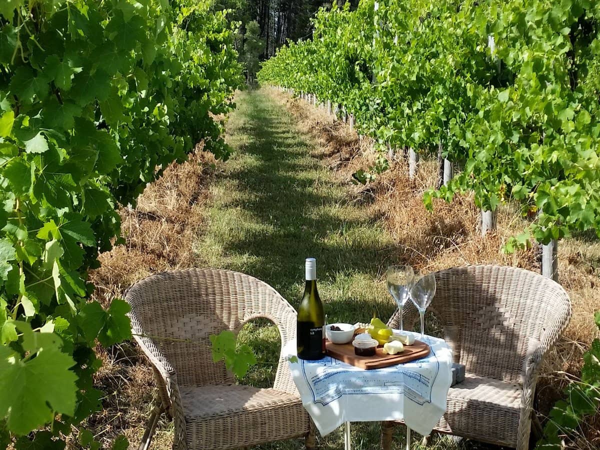 269 Jimmy Mann Road, Broadwater - Thumbnail 20