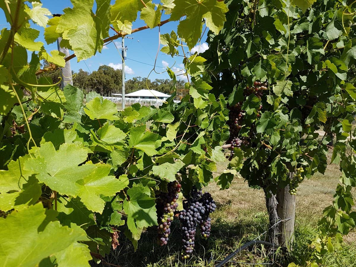 269 Jimmy Mann Road, Broadwater - Thumbnail 21