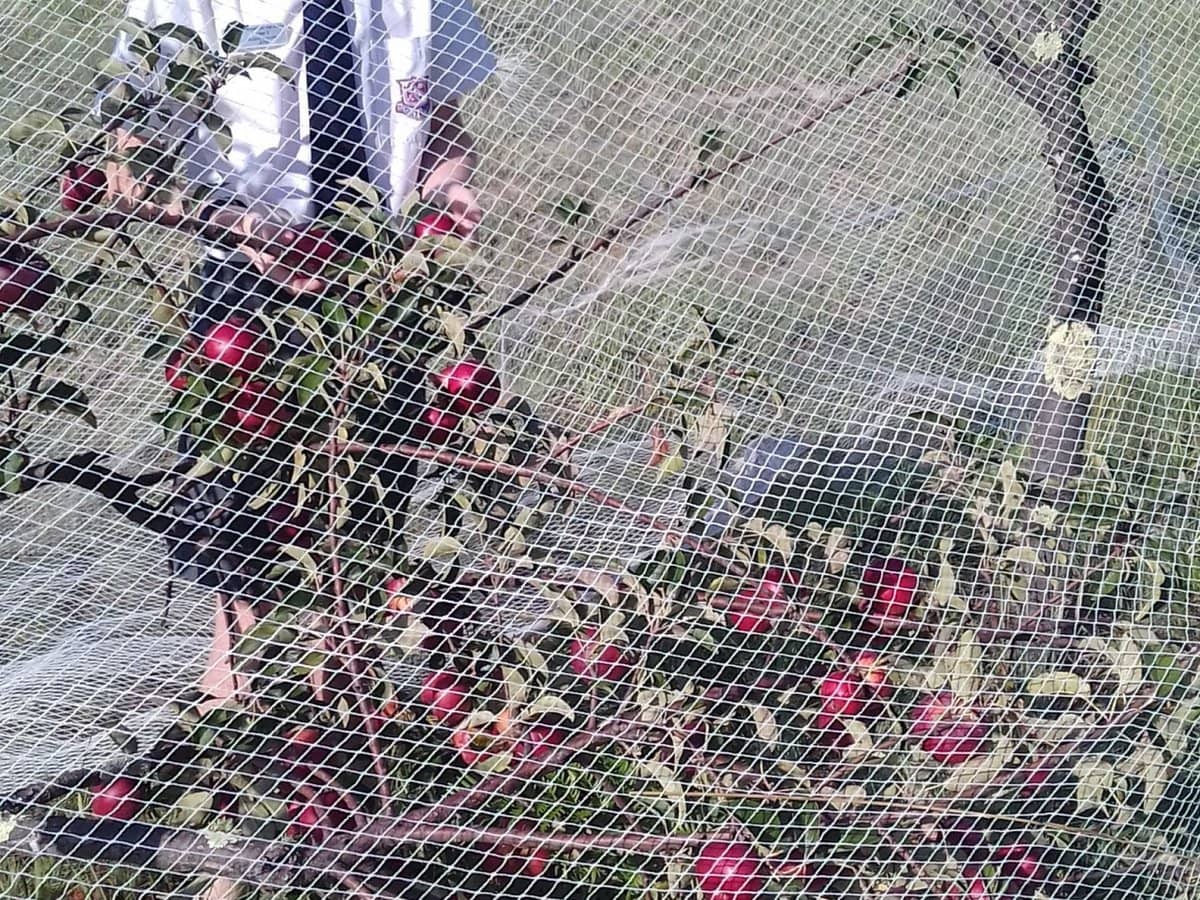 269 Jimmy Mann Road, Broadwater - Thumbnail 24