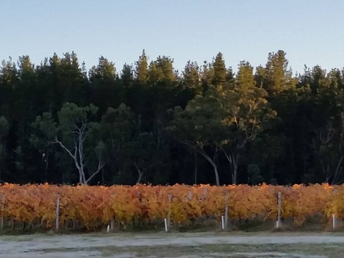 269 Jimmy Mann Road, Broadwater - Thumbnail 27