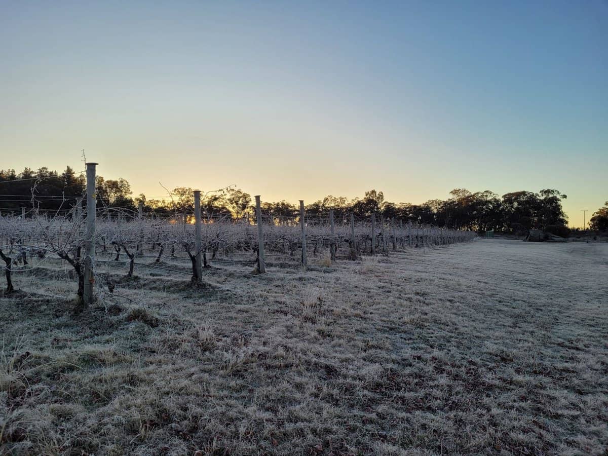 269 Jimmy Mann Road, Broadwater - Thumbnail 28