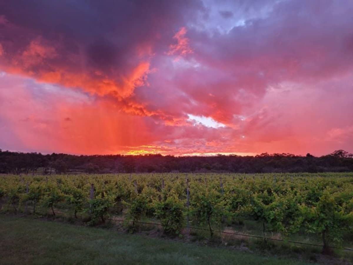 269 Jimmy Mann Road, Broadwater - Thumbnail 31