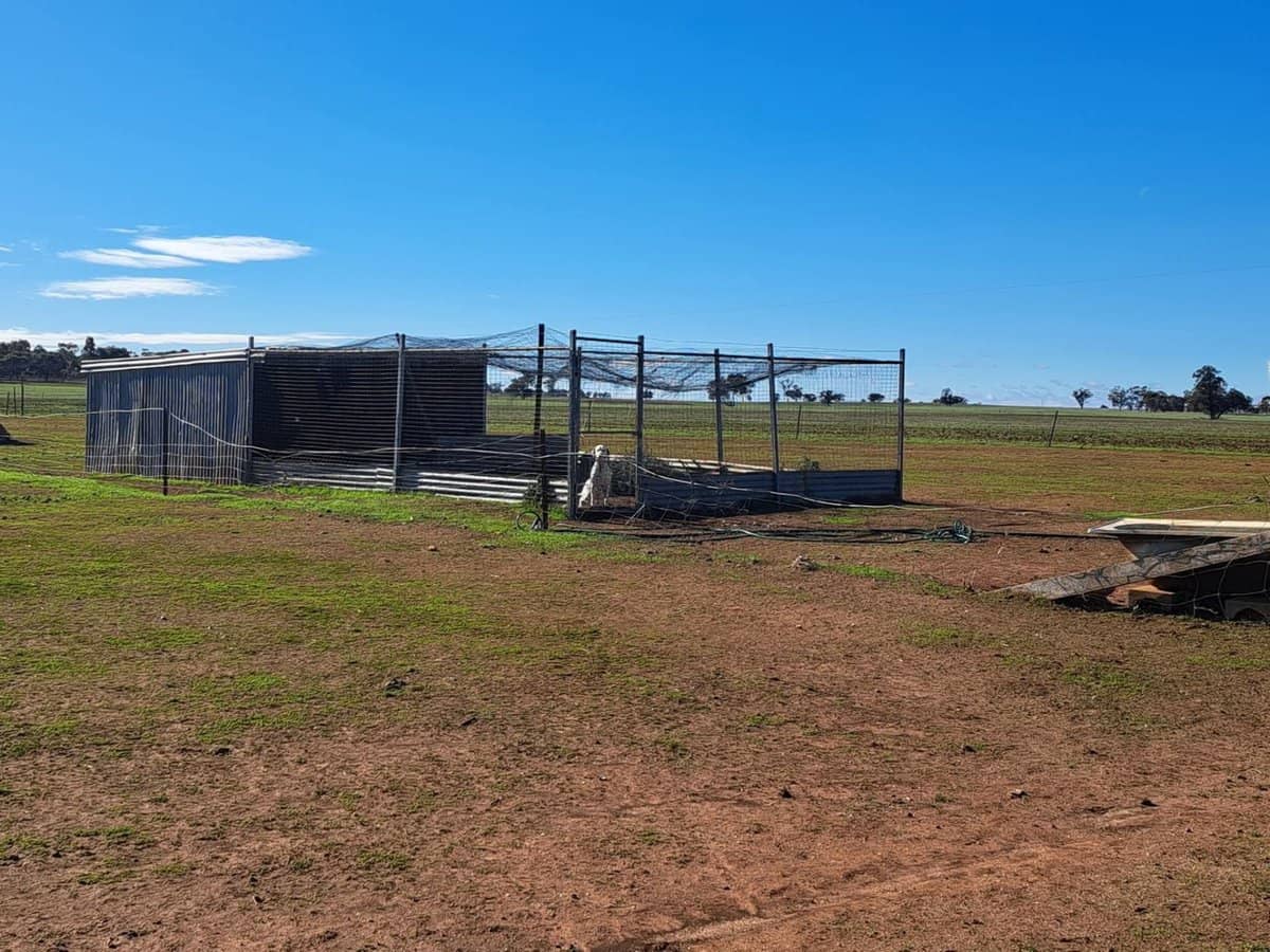 618 Cope Cope-Jeffcott Road, Donald - Thumbnail 29