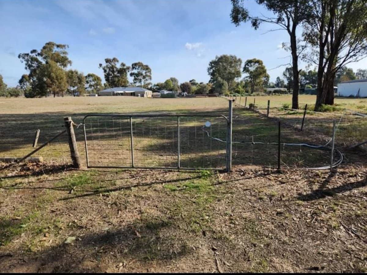 Lot 19 Swanson Street, Wilby - Thumbnail 5