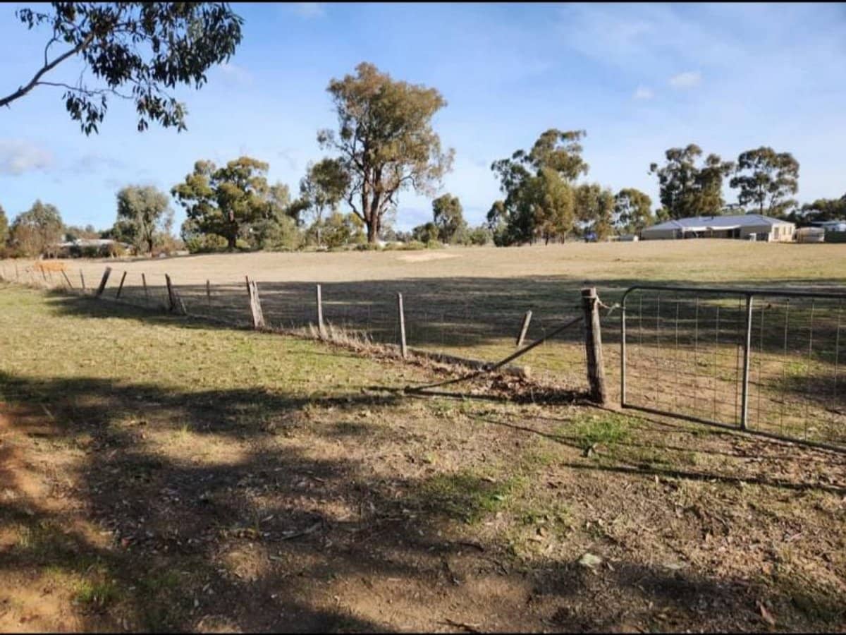 Lot 19 Swanson Street, Wilby - Thumbnail 6