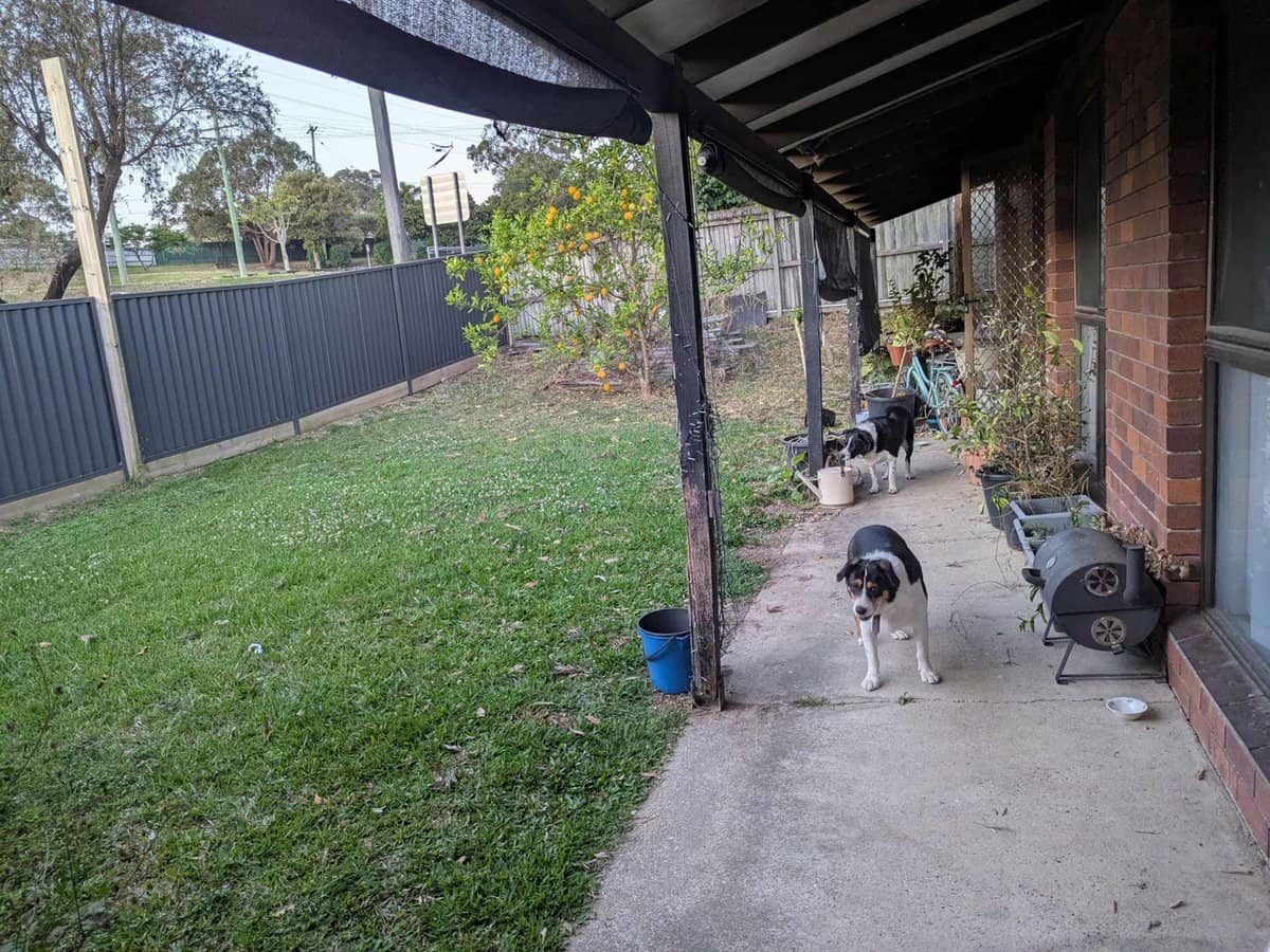 562 Nerang Road, Ashmore - Thumbnail 11