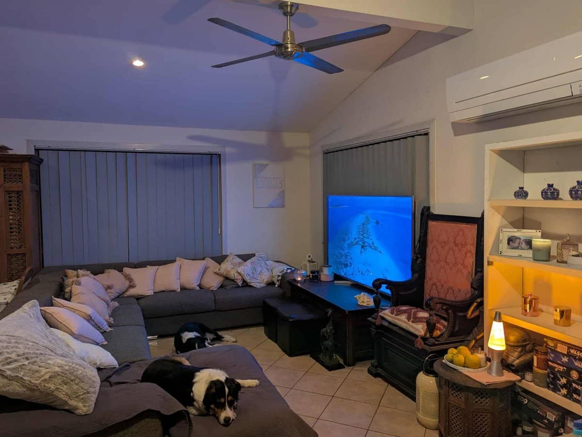 562 Nerang Road, Ashmore - Thumbnail 12