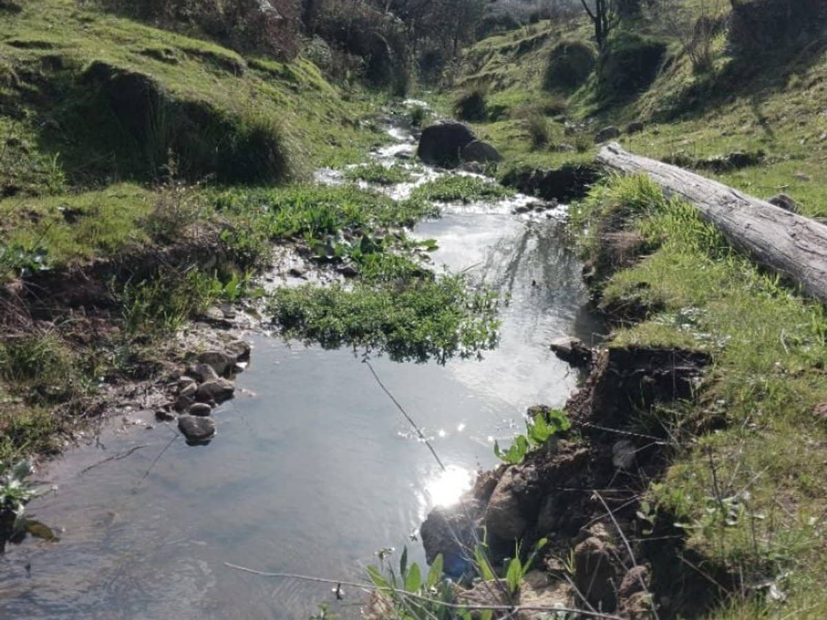 500 Watchbox Creek Road, Molyullah - Thumbnail 6