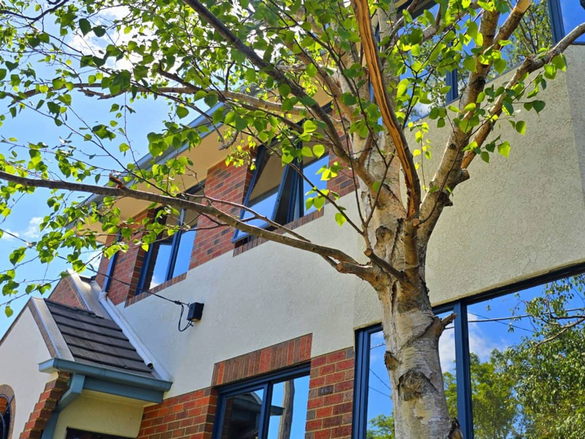 2A The Highway, Bentleigh - Thumbnail 2