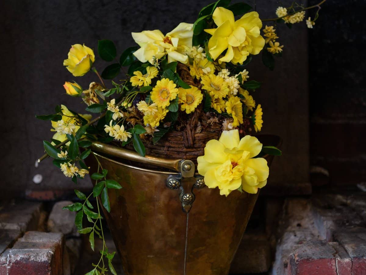 47a and 47b Bridge Street, Richmond - Thumbnail 23