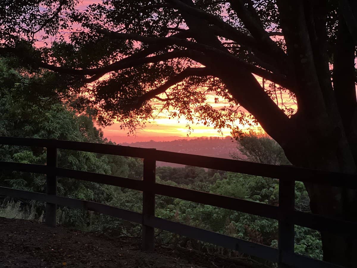 201 Carool Road, Bilambil - Thumbnail 20