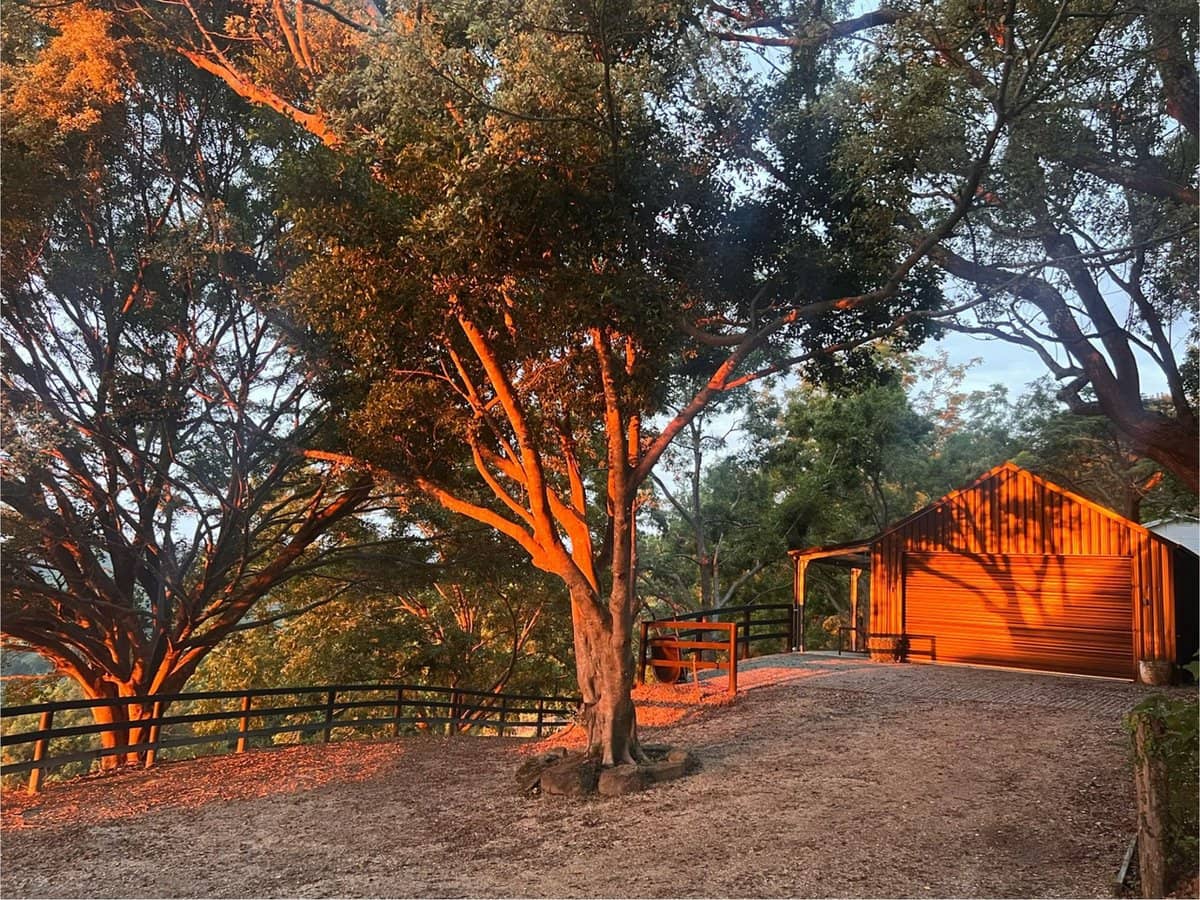 201 Carool Road, Bilambil - Thumbnail 21