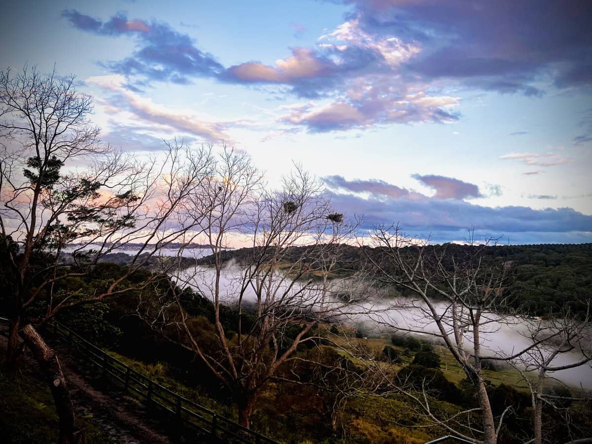 201 Carool Road, Bilambil - Thumbnail 29