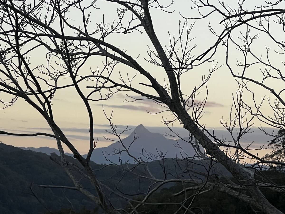 201 Carool Road, Bilambil - Thumbnail 30