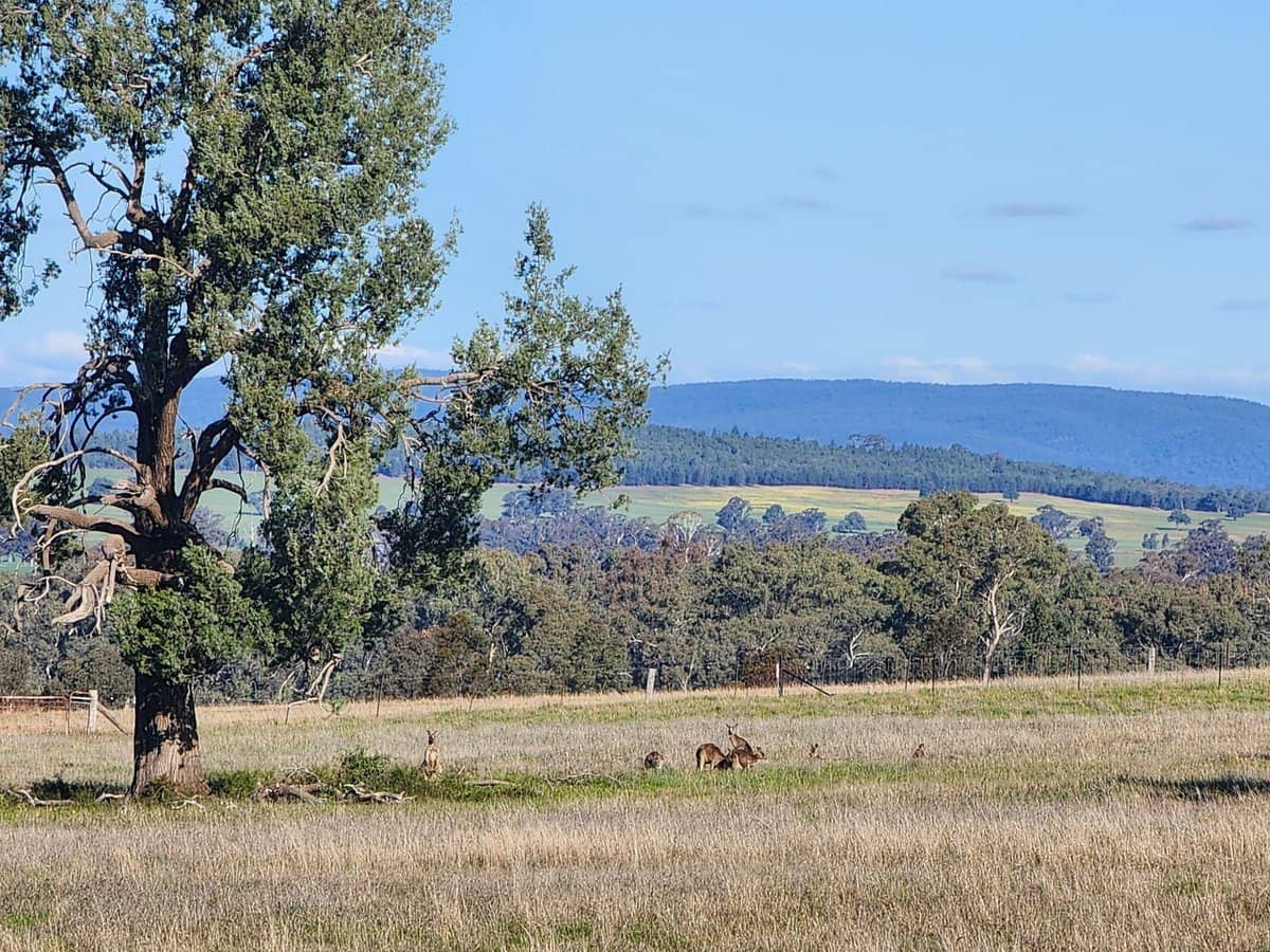 91 Aitken Lane, Parkes - Thumbnail 1