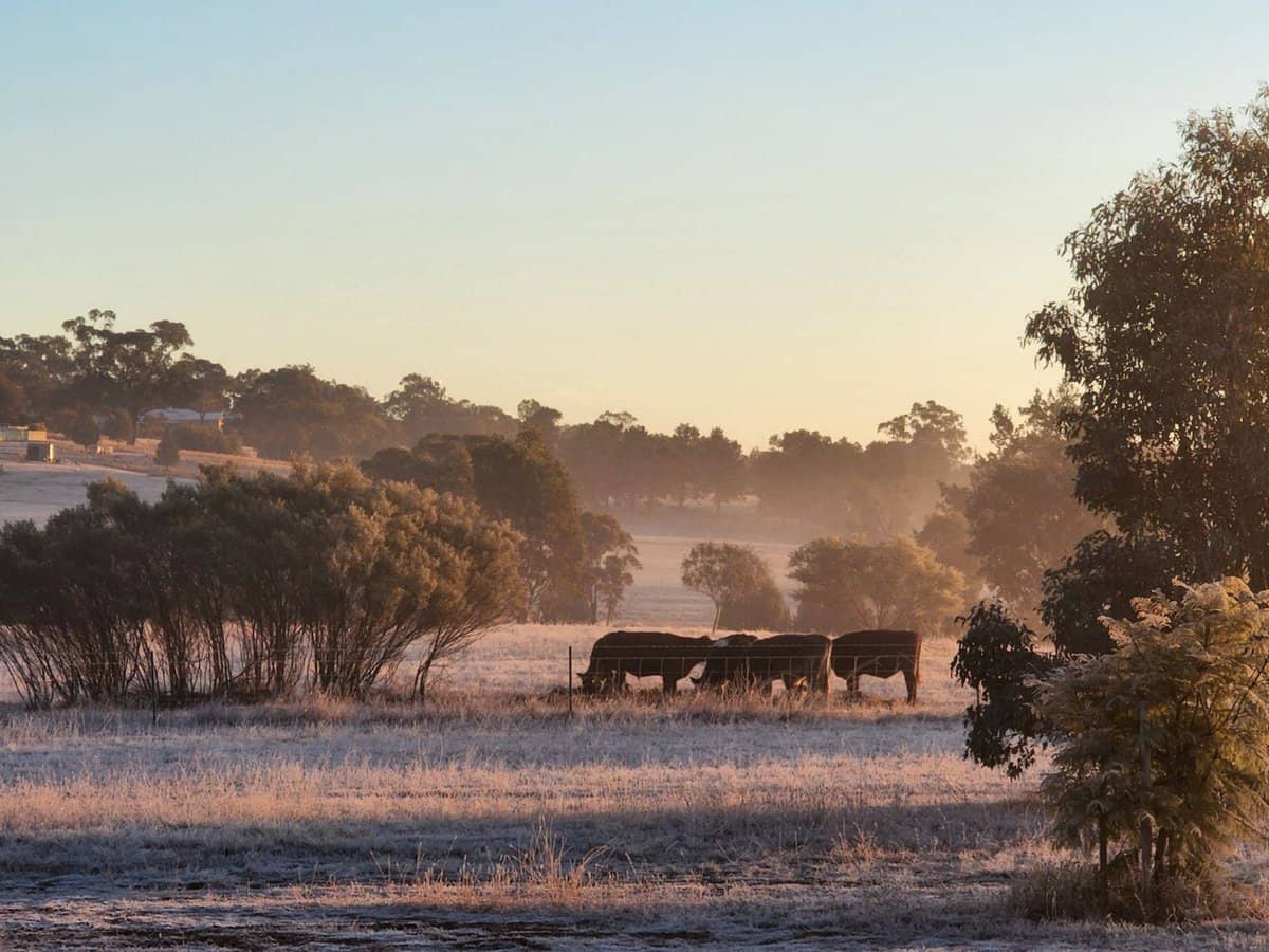 91 Aitken Lane, Parkes - Thumbnail 9