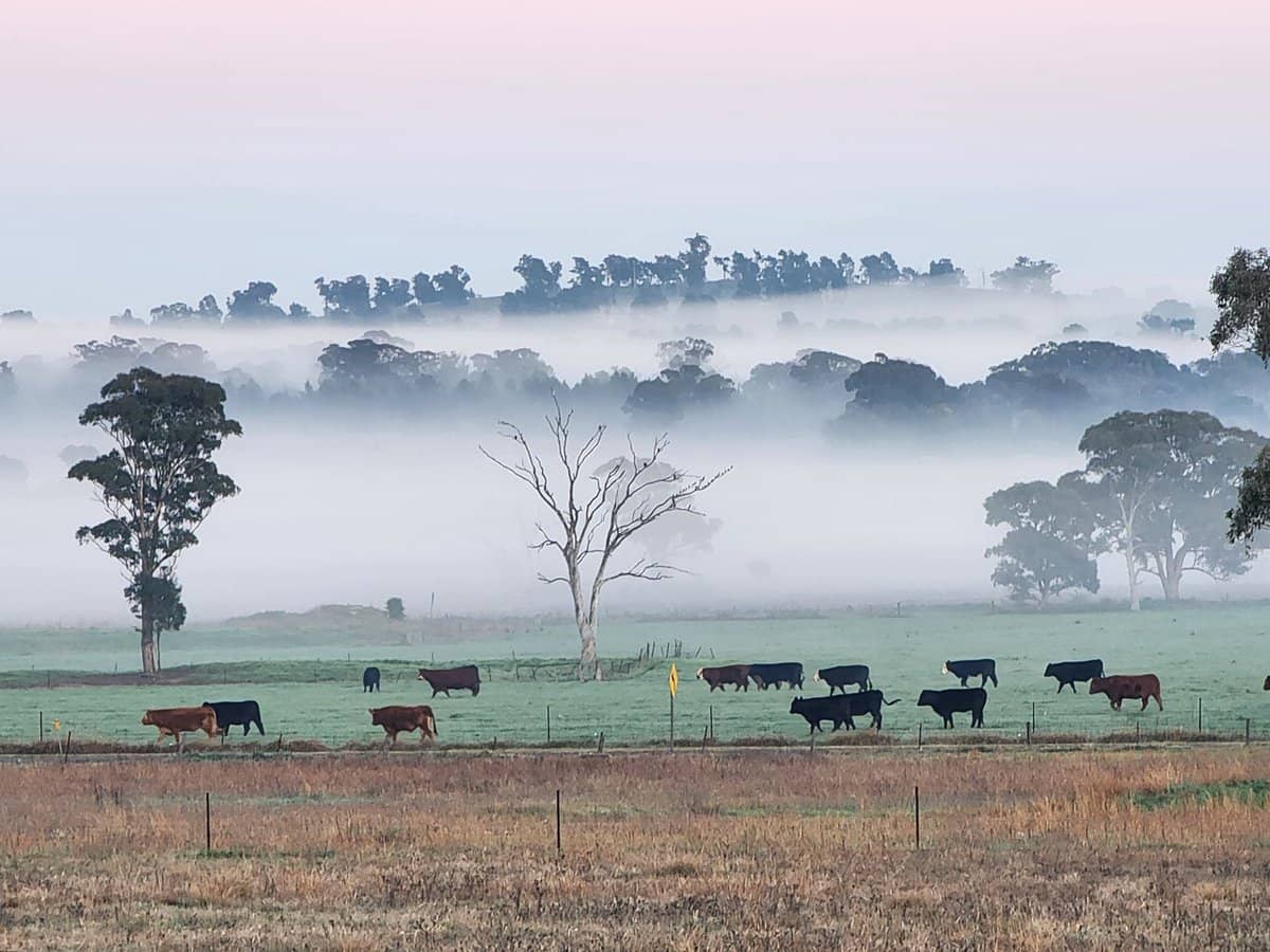91 Aitken Lane, Parkes - Thumbnail 10