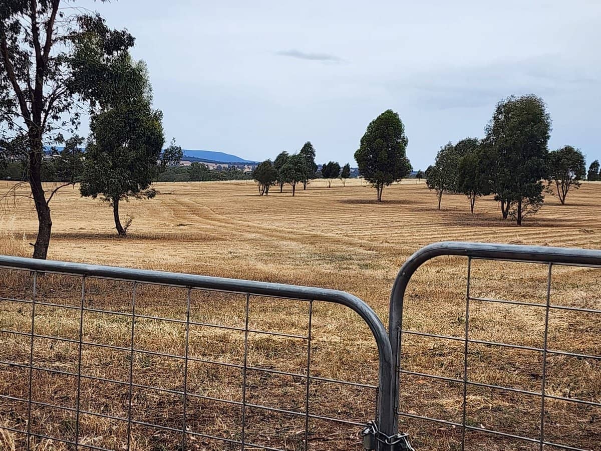 91 Aitken Lane, Parkes - Thumbnail 12