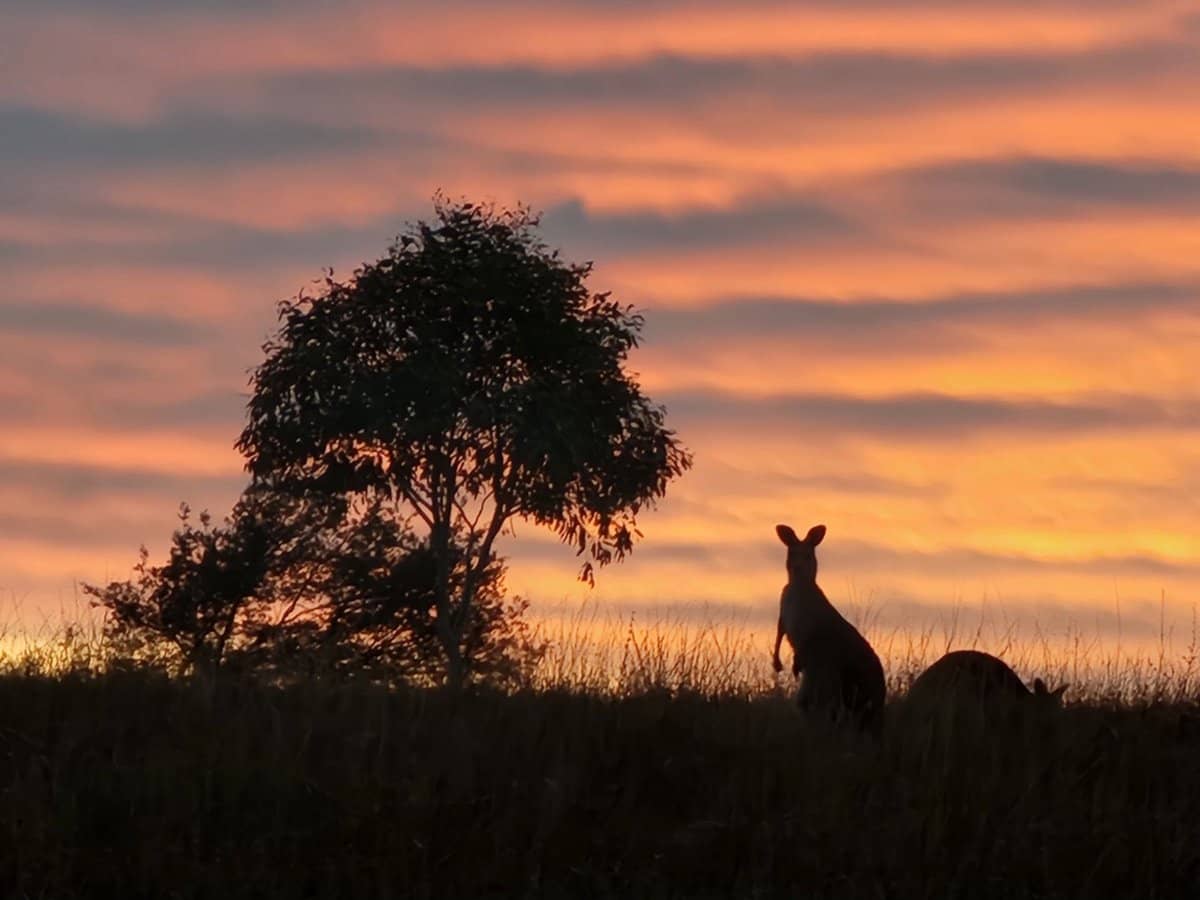91 Aitken Lane, Parkes - Thumbnail 15
