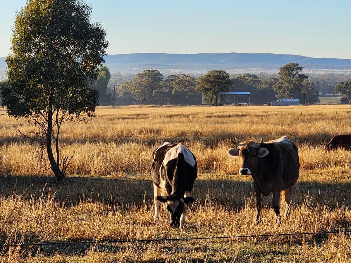 91 Aitken Lane, Parkes - Thumbnail 16