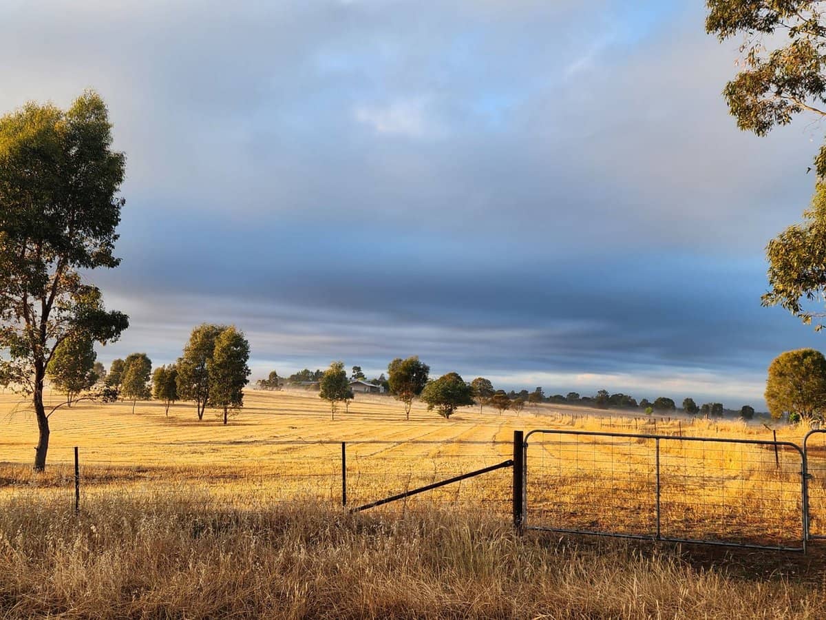 91 Aitken Lane, Parkes - Thumbnail 20