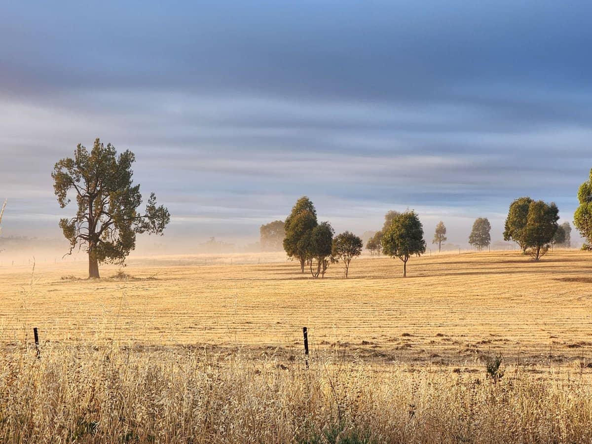 91 Aitken Lane, Parkes - Thumbnail 22