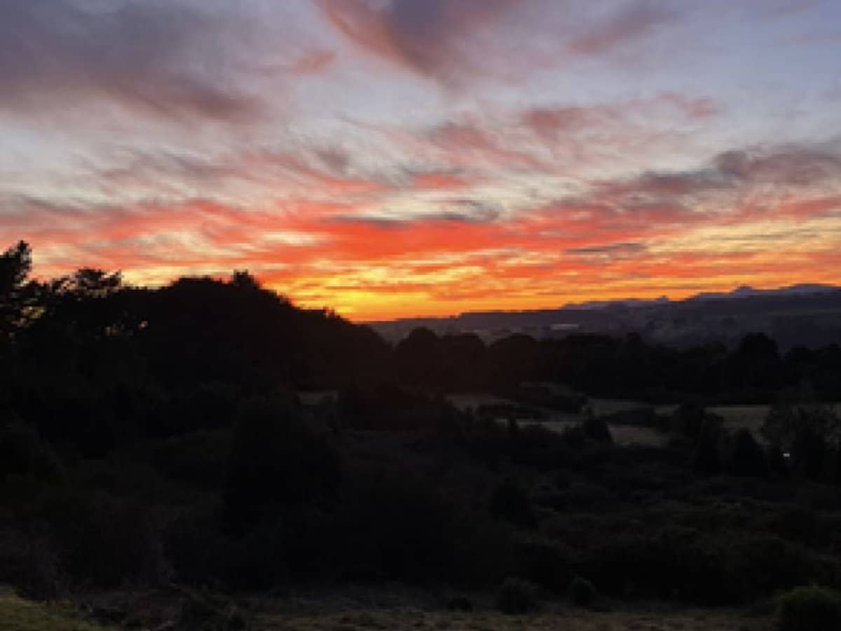 17 Sweetmans Road, Yolla - Thumbnail 6