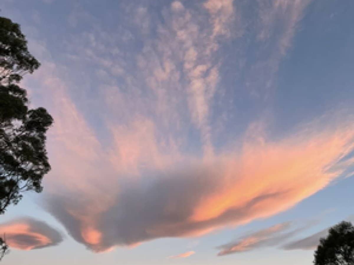 17 Sweetmans Road, Yolla - Thumbnail 7