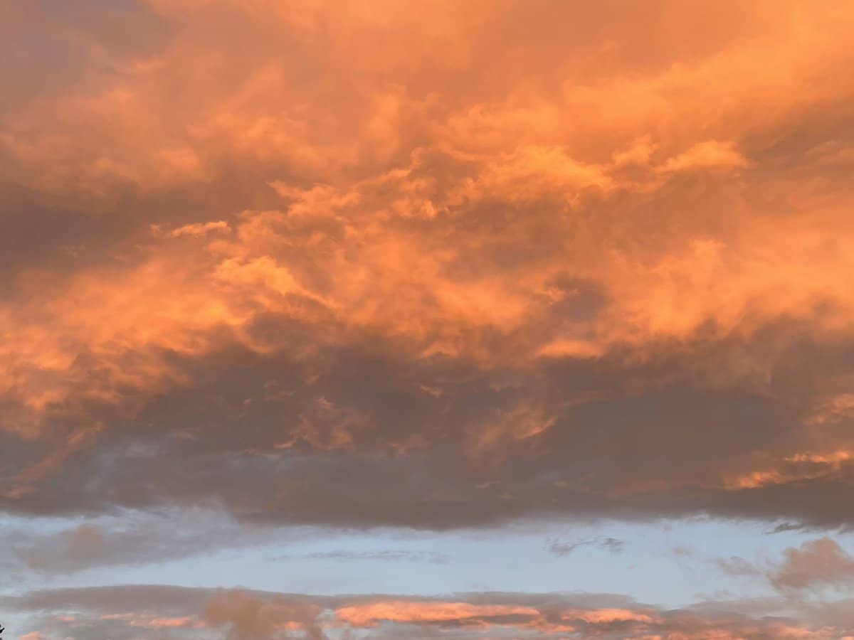 17 Sweetmans Road, Yolla - Thumbnail 8