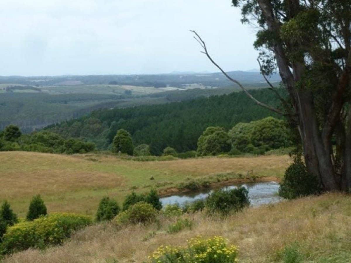 17 Sweetmans Road, Yolla - Thumbnail 12