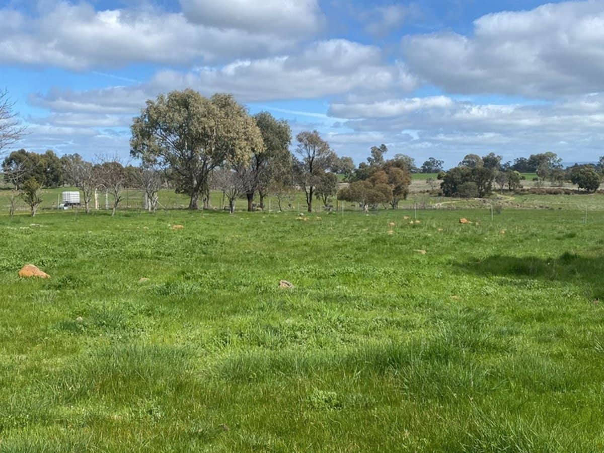 3050 Burke and Wills Track, Glenhope - Thumbnail 10