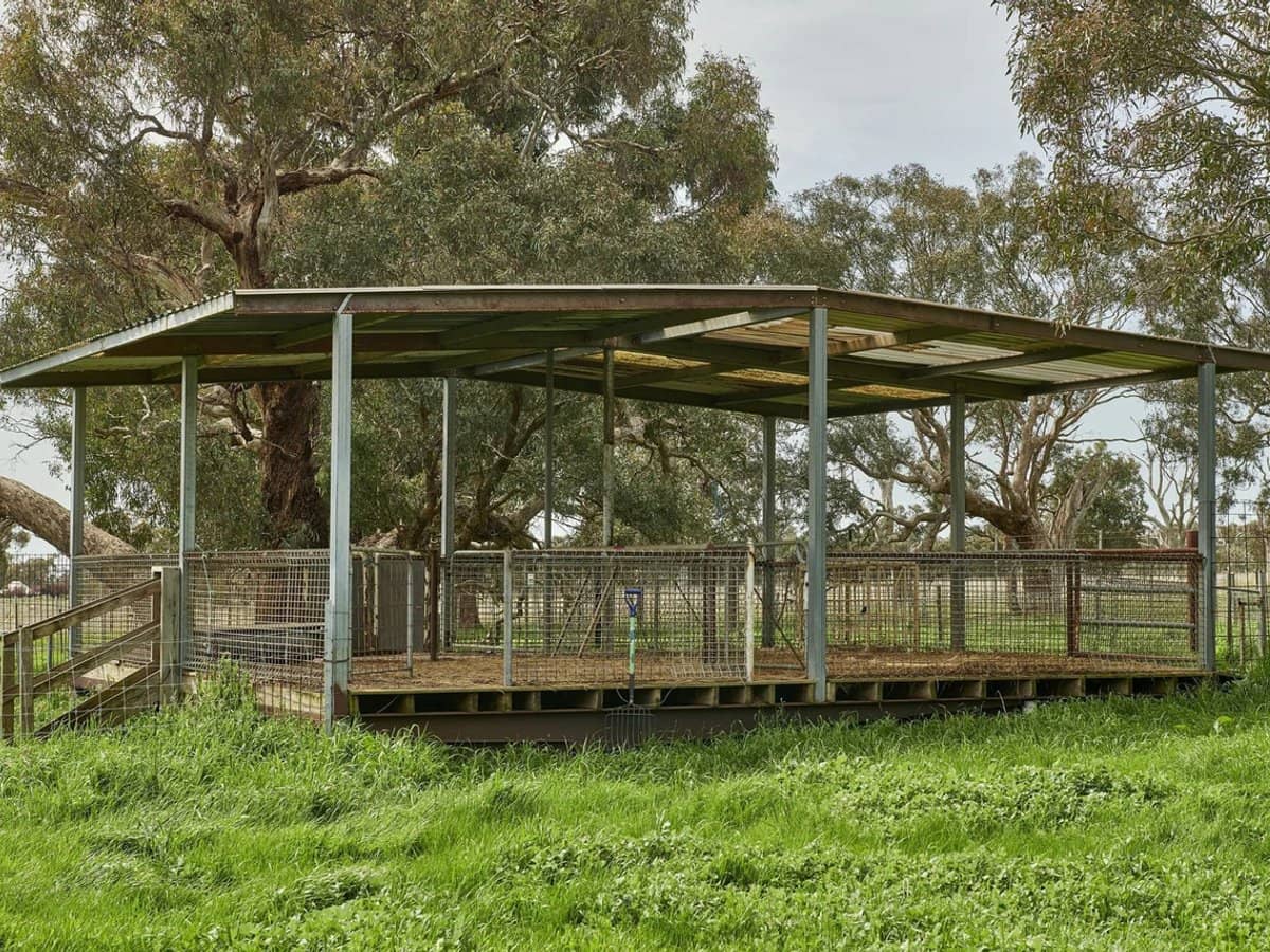 3050 Burke and Wills Track, Glenhope - Thumbnail 12