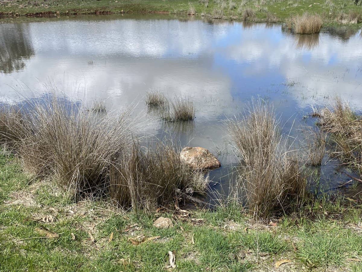3050 Burke and Wills Track, Glenhope - Thumbnail 17
