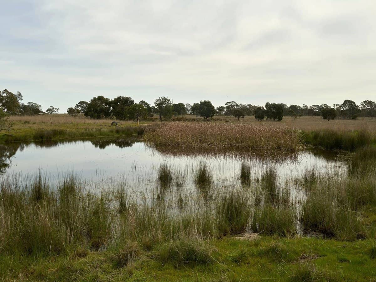 3050 Burke and Wills Track, Glenhope - Thumbnail 18