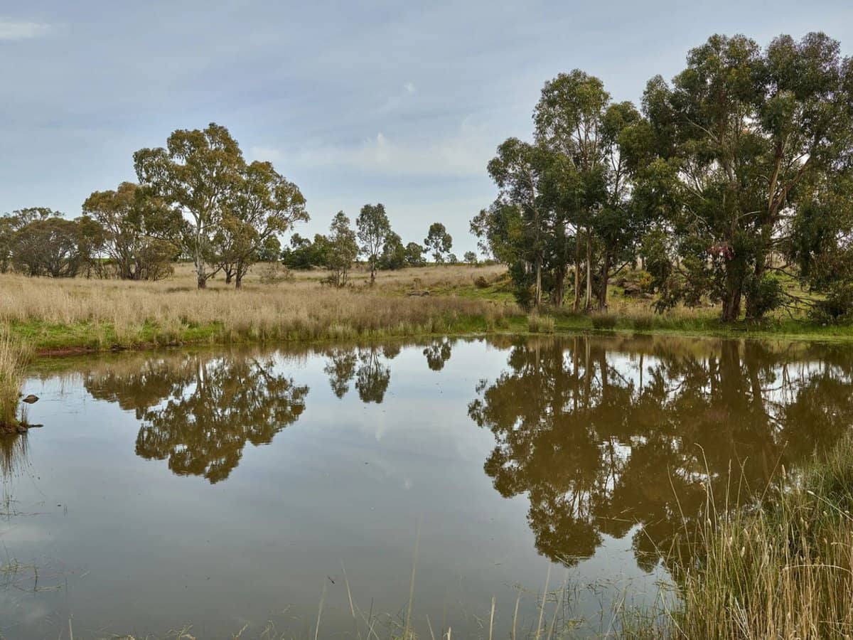 3050 Burke and Wills Track, Glenhope - Thumbnail 19