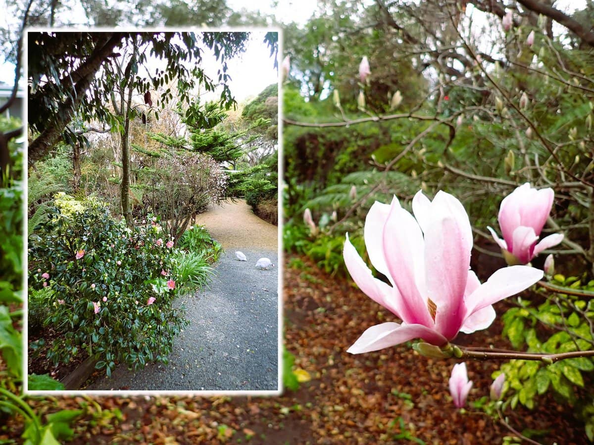 15 & 16 LAGOON BEACH Road, Low Head - Thumbnail 22