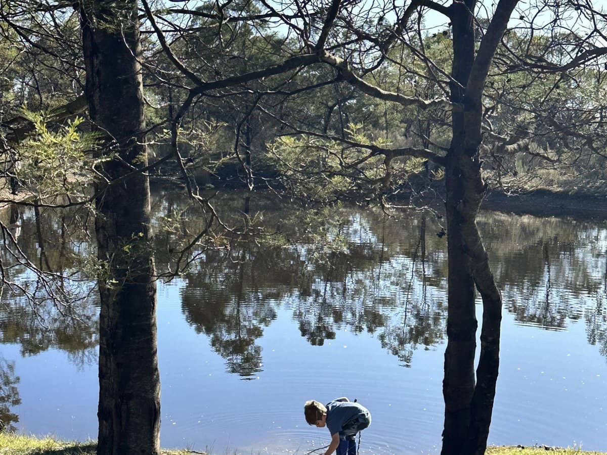 359 Forest Siding Road, Middle Arm - Thumbnail 5