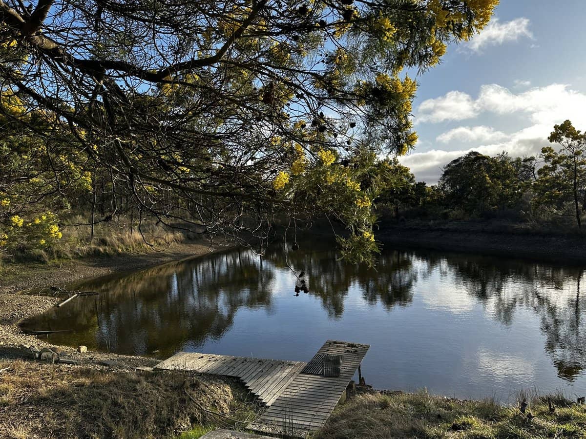 359 Forest Siding Road, Middle Arm - Thumbnail 21