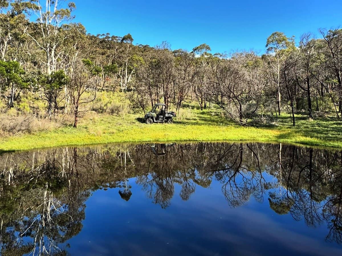 359 Forest Siding Road, Middle Arm - Thumbnail 23