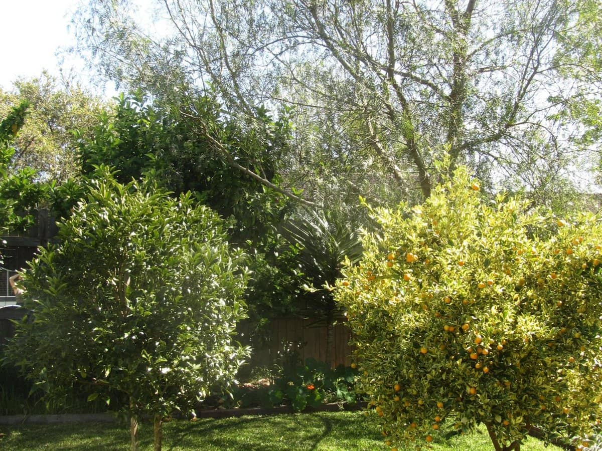 11 Pine Close, Gloucester - Thumbnail 17