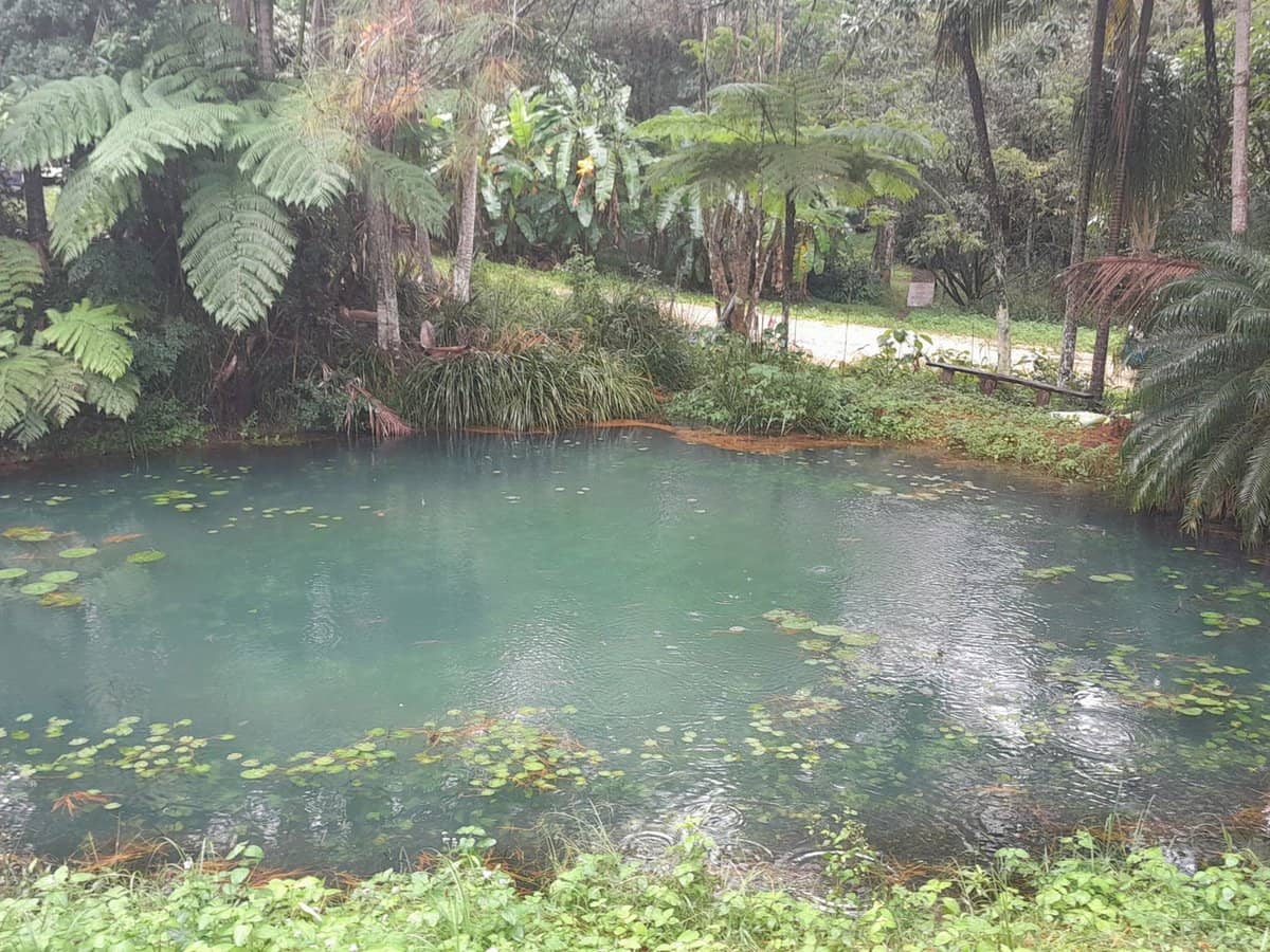 829 The Pocket Road, The Pocket - Thumbnail 33