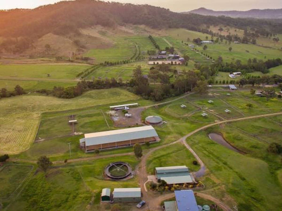 611 Biddaddaba Creek Road, Biddaddaba - Thumbnail 14