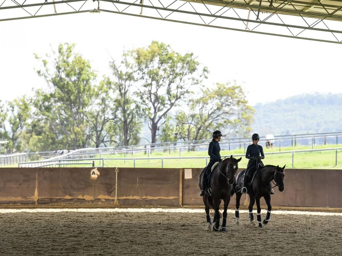 611 Biddaddaba Creek Road, Biddaddaba - Thumbnail 17