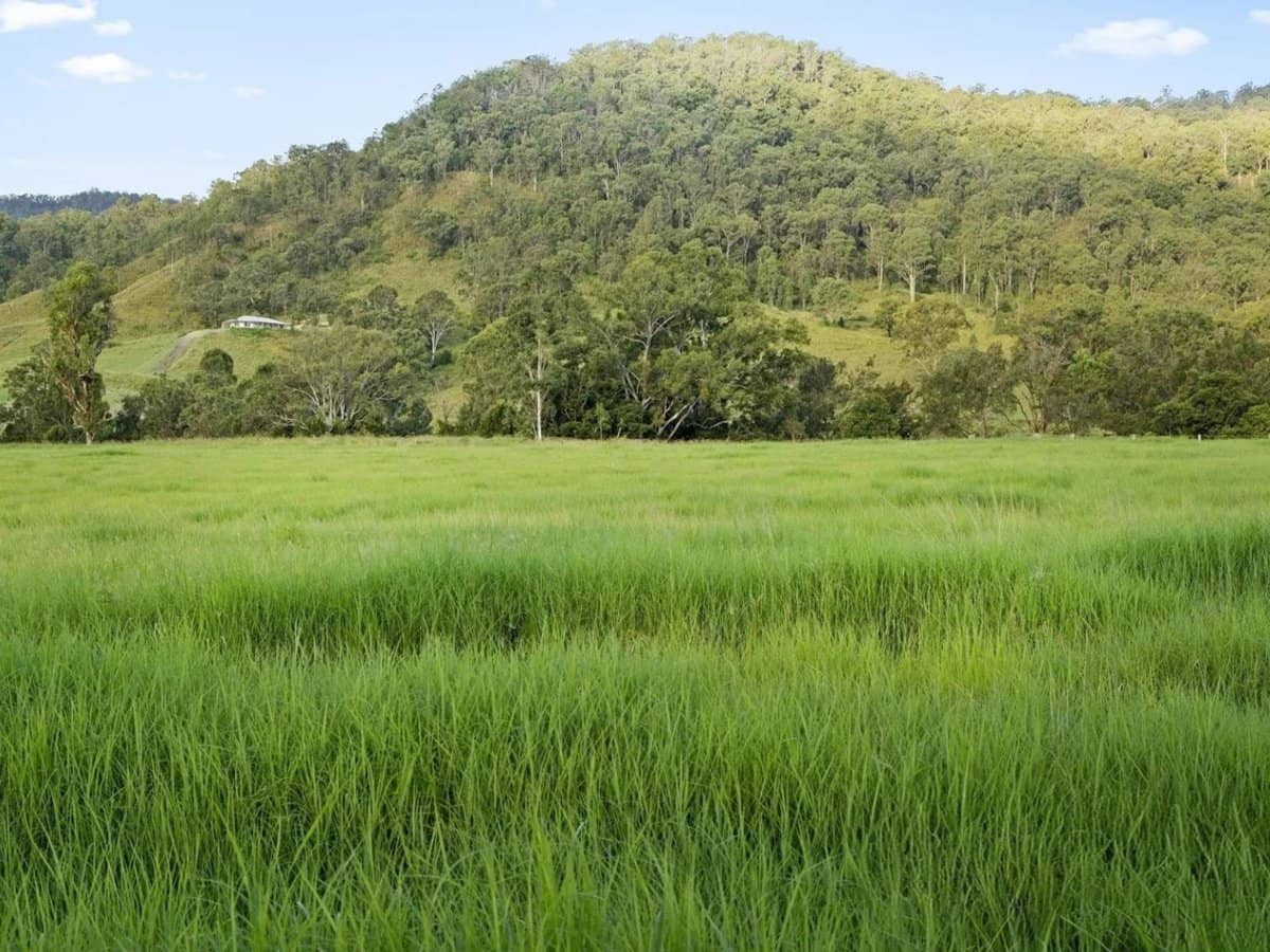 611 Biddaddaba Creek Road, Biddaddaba - Thumbnail 22