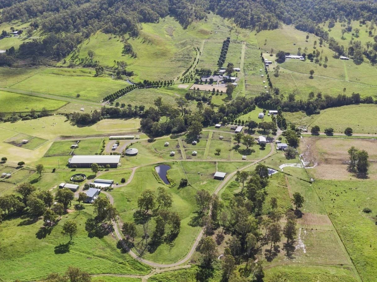 611 Biddaddaba Creek Road, Biddaddaba - Thumbnail 28