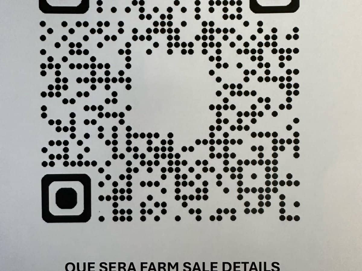 611 Biddaddaba Creek Road, Biddaddaba - Thumbnail 30